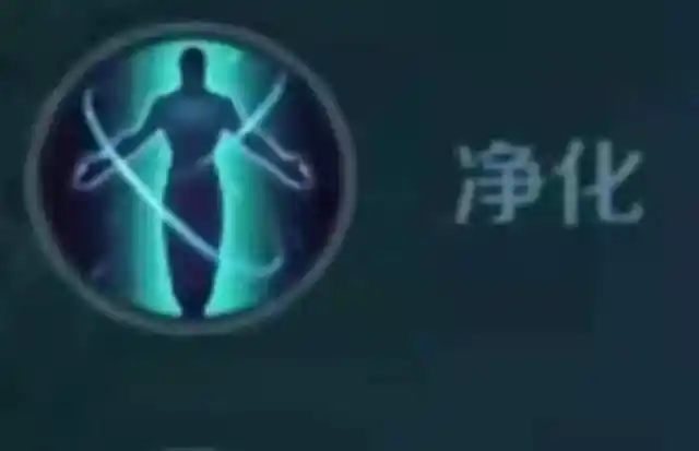 老夫子的召唤师技能选择有三个,分别是闪现,净化和弱化.