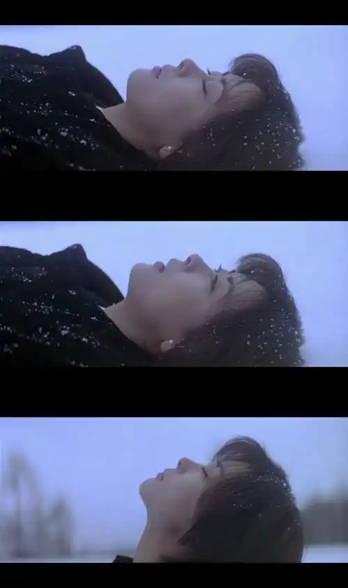 情书- 堆糖,美图壁纸兴趣社区