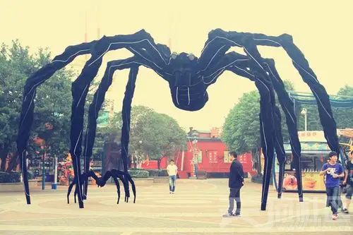 好大的黑蜘蛛啊!这变异得也太夸张了吧!