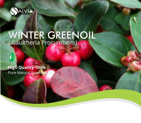 100% pure and natural winter green oil (gaultheria procumbens)