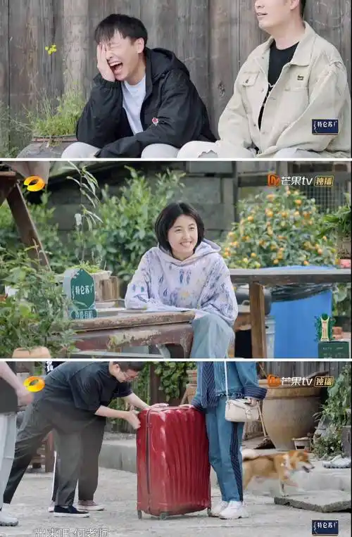 原创杨紫离开向往的生活后张艺兴像丢了魂把黄磊的佳肴搞砸了