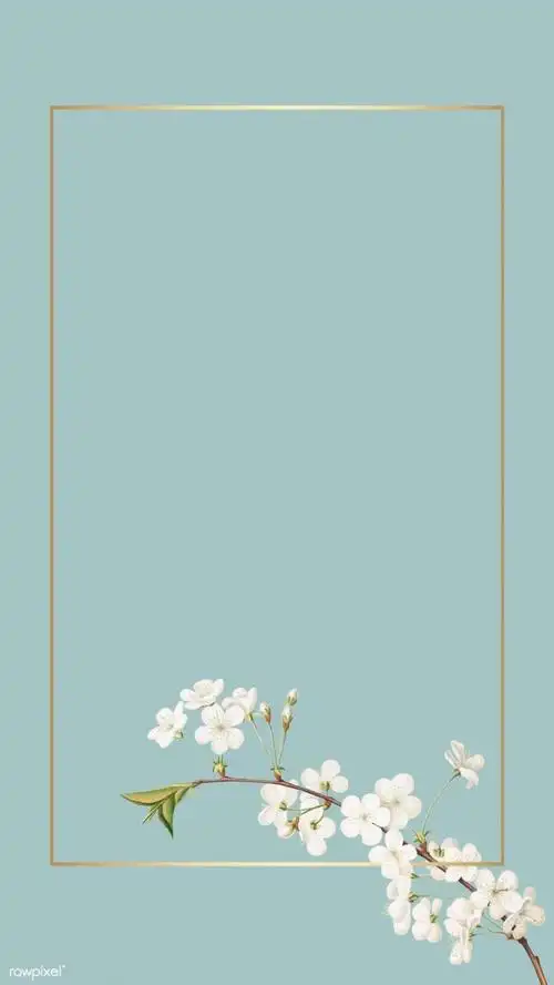 画框系列 - 堆糖,美图壁纸兴趣社区