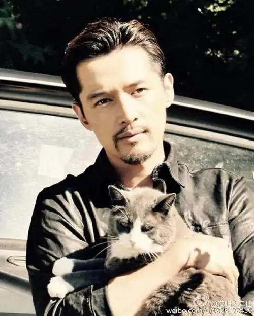 胡歌个人资料(胡歌个人资料介绍老婆)-伯乐百科