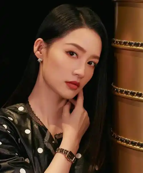 李沁的美,很有特色,她的脸型很有立体感,很有骨感美.