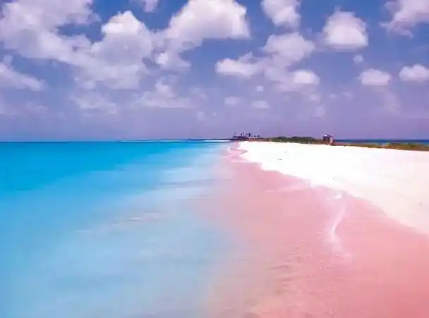 沙滩在你的印象里应该是什么样的?