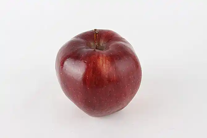 单个物体图片_全景网