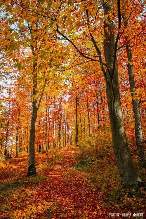4k高清风景素材