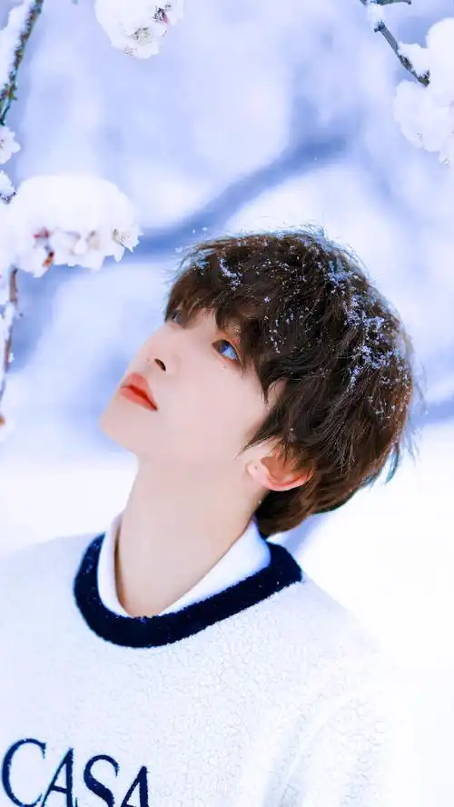 刘宇#·壁纸听雪落下的声音