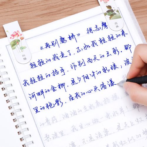 直销女生字体漂亮练字贴硬笔书法练字本成年手写大学生行楷临摹