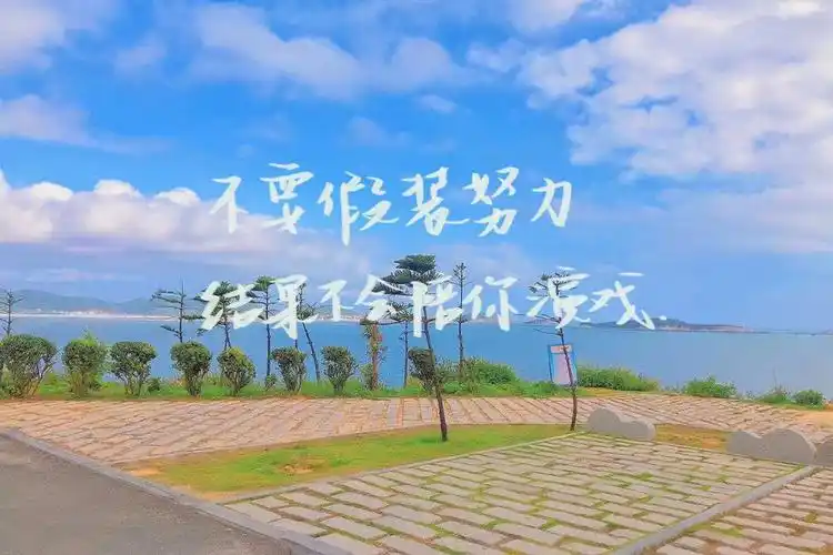 ipad手写壁纸文案我的人生我做主