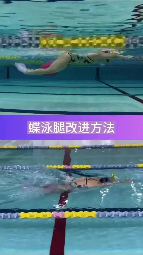 蝶泳腿发力改进训练方法
