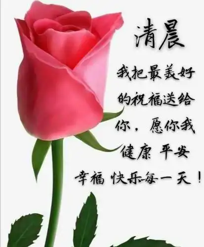 最新简短早上好祝福语短句,很漂亮的早安问候文字图片