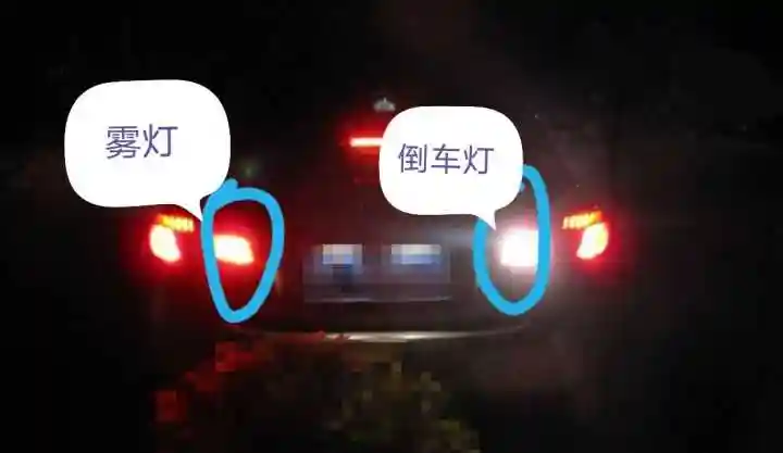 为什么车的后雾灯只有一个呢?