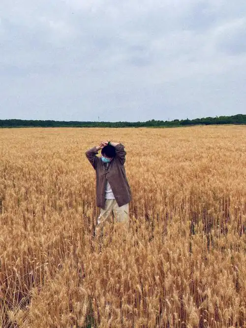 偶遇麦田