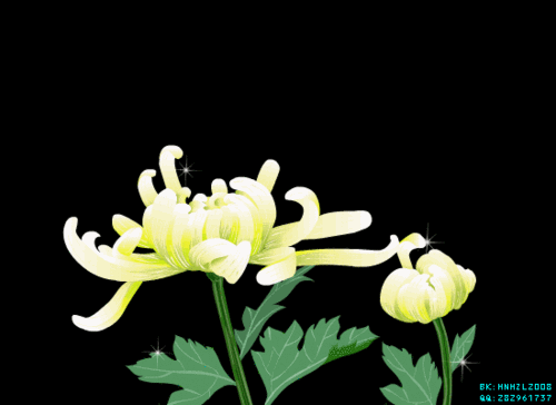 花草动态图——5