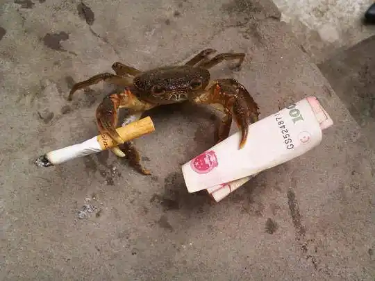 搞笑精选:妹子无奈的表情,肯定没有找到合适的!