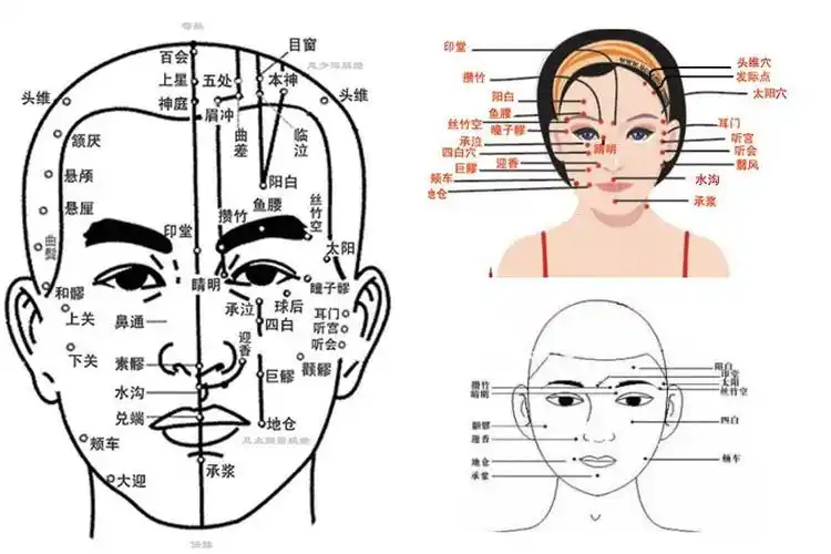 你知道我们的脸上有多少穴位吗?