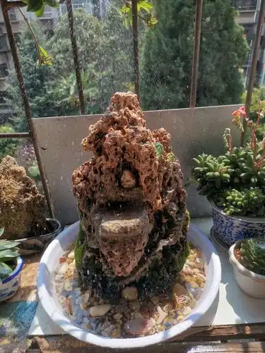 生态区制作——假山造景