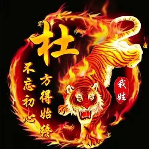 2019最新霸气姓氏头像,火龙与虎为主题喜欢的来吧-个性头像