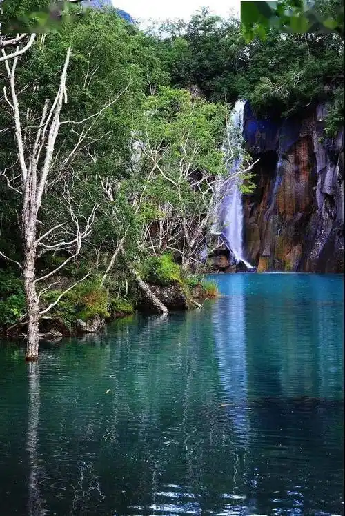 856_1280竖版 竖屏