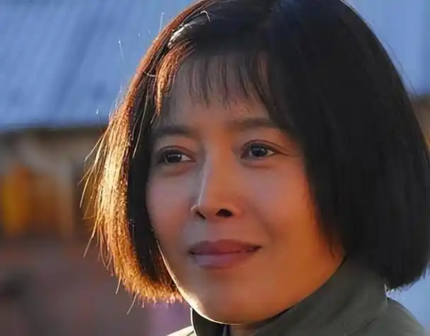 无论丁嘉丽多么低声下气,都无法挽回这段感情.