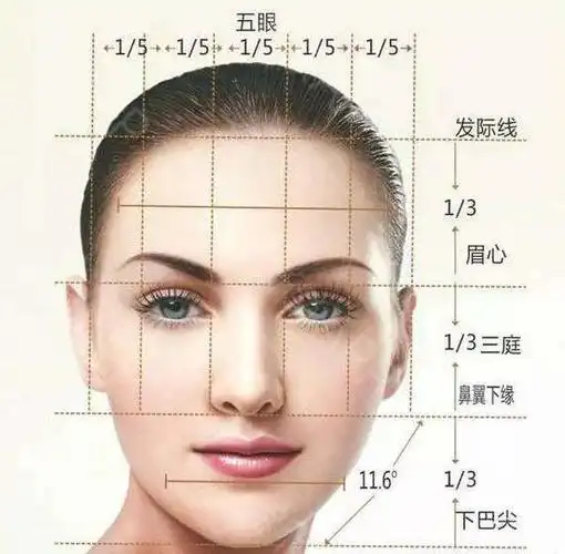 【面部美学标准】"三庭五眼"是人的脸长与_圈子-新氧美容整形