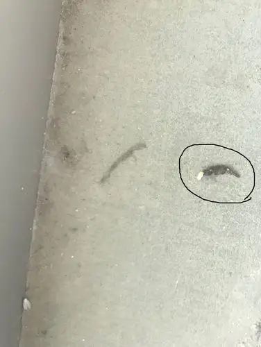 私信ta  展开全部 蟑螂是是晶体状,老鼠屎没有这么大,壁虎屎比这粘,都