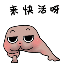 爸妈给我下了个brief,让我半个月没睡上好觉