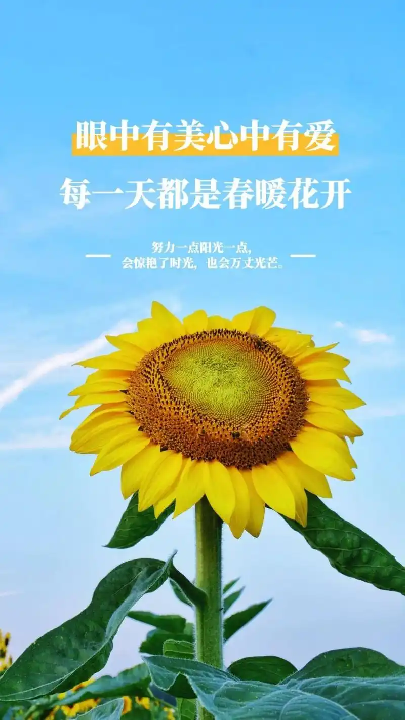 新一周早安说说正能量图片励志早上好文字图片