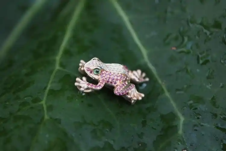 招财小蟾蜍!又到了戴胸针的季节了