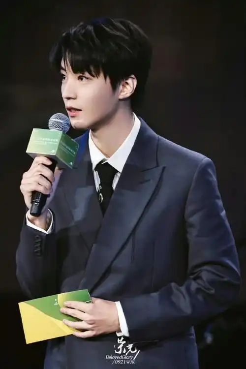 王俊凯的国民度