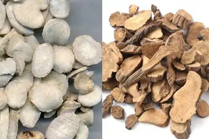 【图】白芍和赤芍的区别有哪些 三大要点教你一次认清