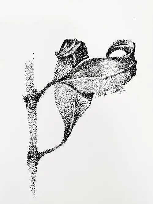 18级广告专业商业插画课微距黑白点画临摹