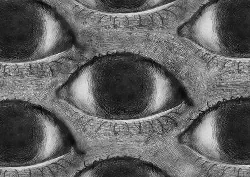 毛毛毛读作cuì的相册眼眼眼密集综合症慎入