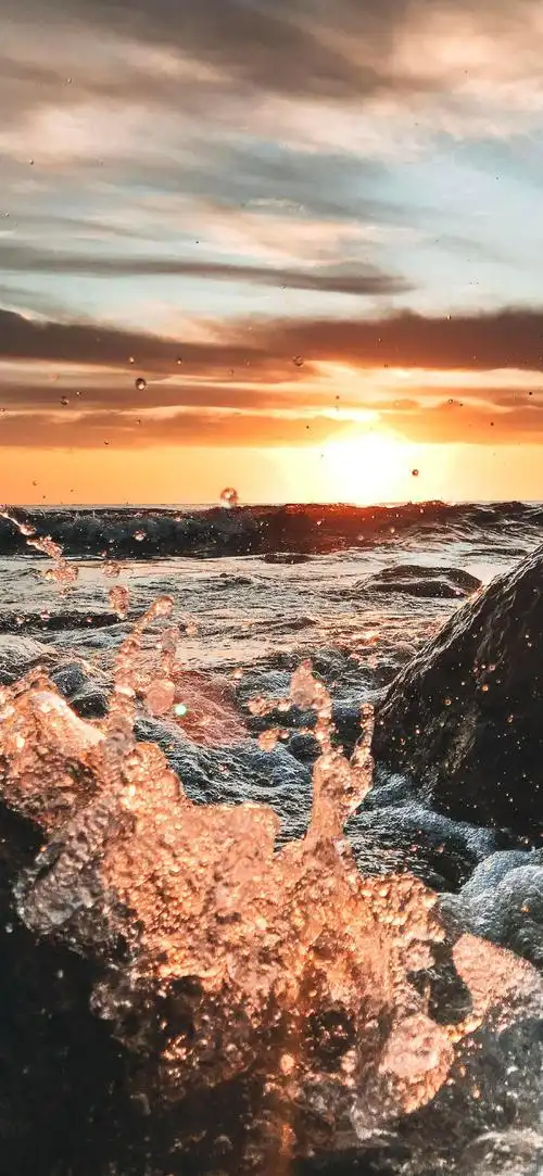 壁纸 桌面 690_1495 竖版 竖屏 手机