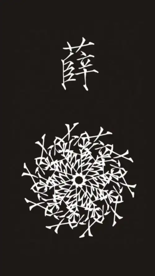 每个姓氏都能开出一朵花~薛