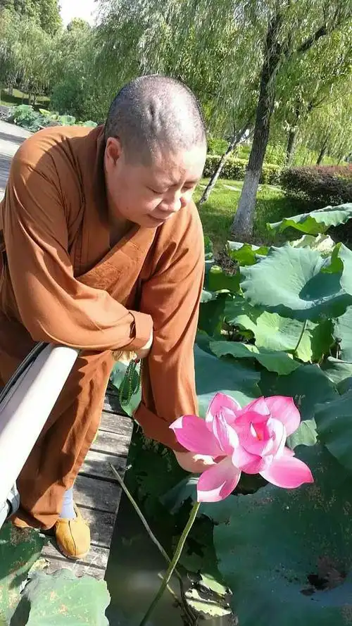 我要像莲花一样,生污泥而不染