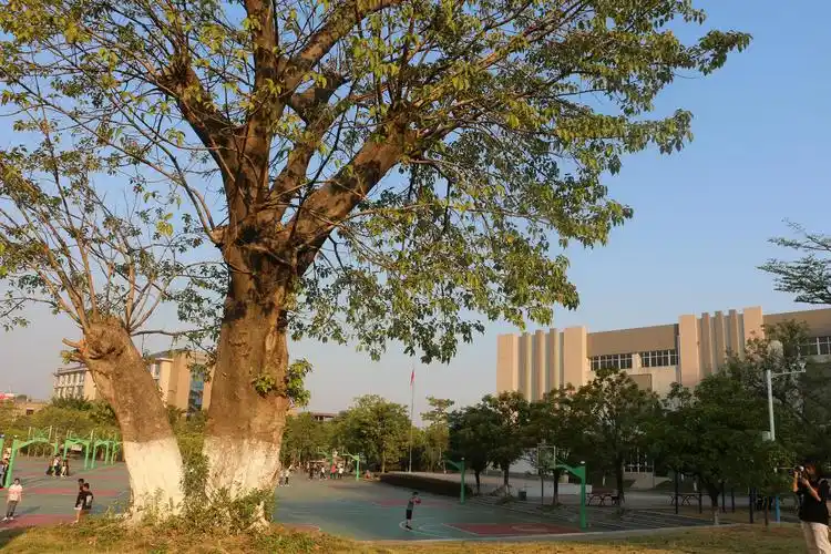 遇见最美梧高(2019梧州高中最美校园竞晒优秀作品)