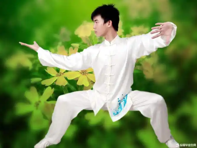 陈式太极拳的特点