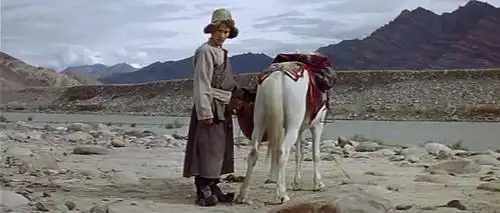 轮回电影轮回高僧为爱还俗