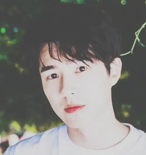 刘昊然头像4评论24更多加载中