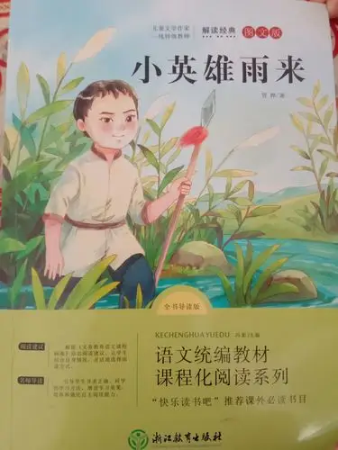 《小英雄雨来》-读书伴我成长-六小四(10)班-钟浩朋.