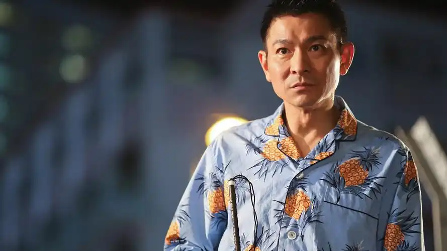 android安卓影视 盲探 刘德华高清手机壁纸免费下载,安心市场-用安卓