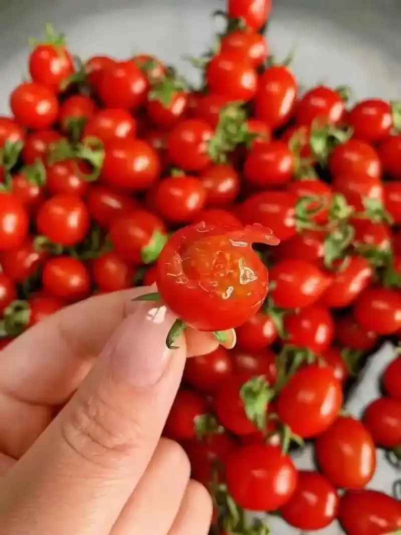 最脆最甜的玲珑千禧小番茄