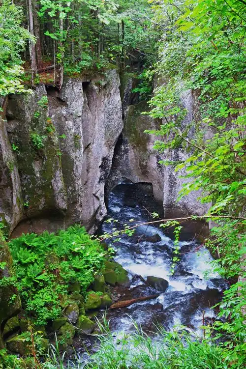 【2020长白山地下森林徒步活动】1 风光篇