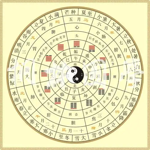 十二辟卦卦象图中医养生太极八卦图二十四节气脏腑经络装饰画286淡