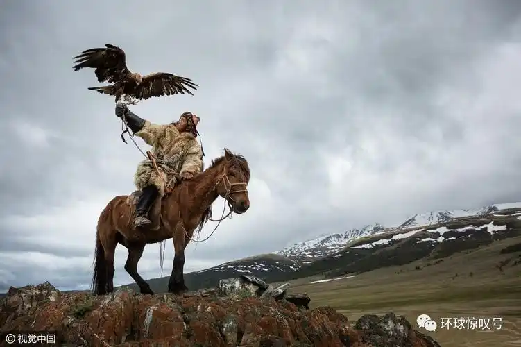 实拍蒙古游牧民族猎鹰训练 或面临失传