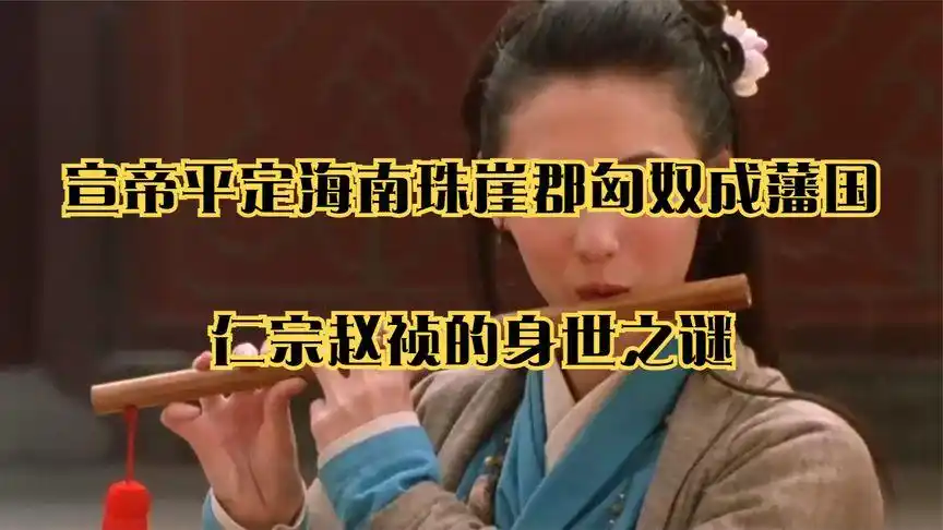 宣帝平定海南珠崖郡匈奴成藩国_仁宗赵祯的身世之谜