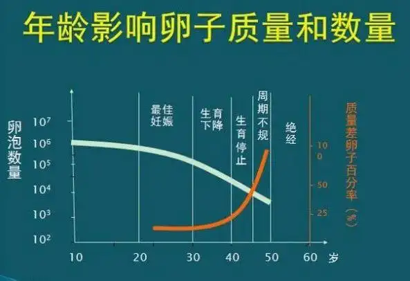 对于女性来说,24~30岁便是最佳生育年龄.