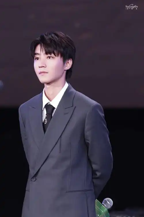 王俊凯平遥电影展特约策展人##王俊凯红毯全身镜头